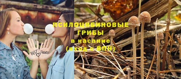 крисы Михайловск