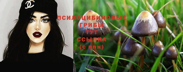 таблы Абинск