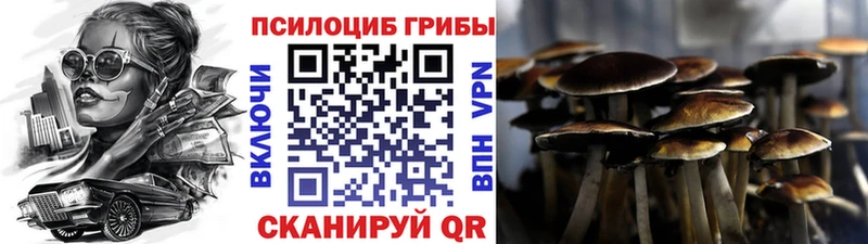 hydra ТОР  Чишмы  Псилоцибиновые грибы GOLDEN TEACHER 